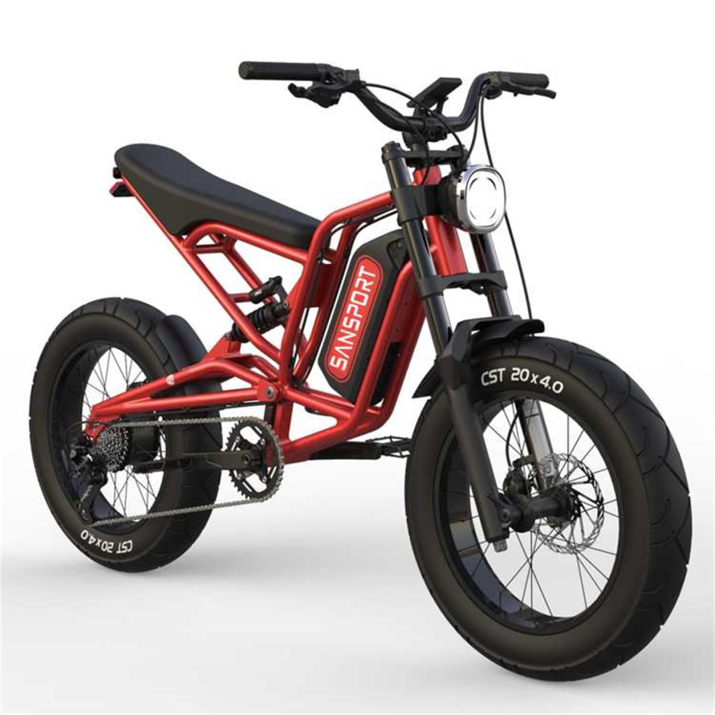 electric fat tire bike